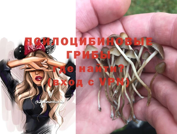 ГАЛЛЮЦИНОГЕННЫЕ ГРИБЫ Абинск