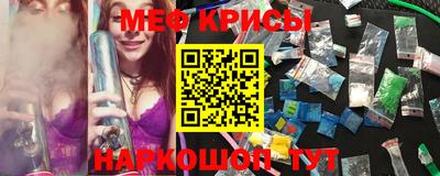 шишки Бийск