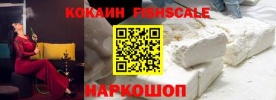 шишки Бийск