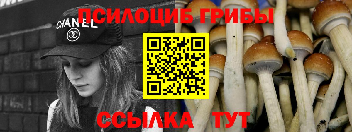 Псилоцибиновые грибы Psilocybe  Вход с VPN  Псилоцибиновые грибы MAGIC MUSHROOMS  Грозный 
